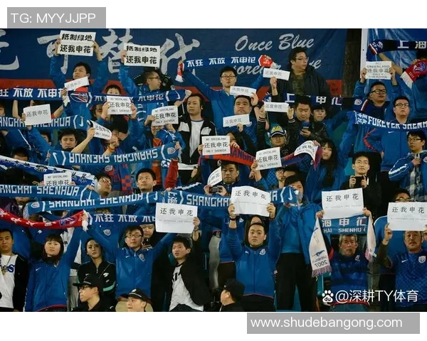 央视专访足球球星深度解密赛场背后的奋斗故事与人生感悟