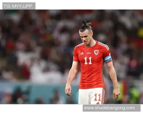 贝尔谈职业生涯经历与未来规划：从绿茵场到个人生活的转变