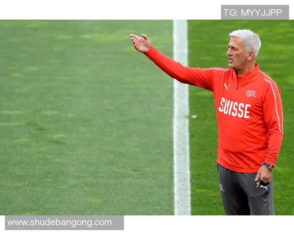 2018年瑞士足球队核心球员表现分析与未来发展展望