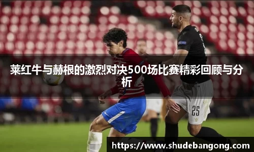 莱红牛与赫根的激烈对决500场比赛精彩回顾与分析